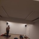 소호야생차 이미지
