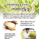 이라이스농장 이미지