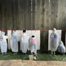 연일초등학교 이미지