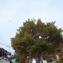 명사초등학교 이미지