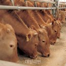 만나한우농장 이미지