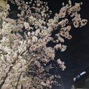 서울숲명품수선