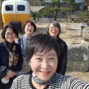 그녀들은아름답다