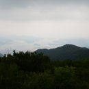 창원 고현리 공룡발자국화석 산지 이미지