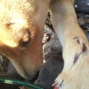 부상농장 이미지