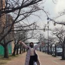 군산월명종합경기장테니스장 이미지