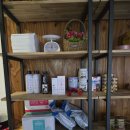 펫퍼스트 24시 강아지분양 고양이분양 이미지