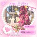 은혜카인테리어 | 카페 드 첼시 :: 유럽풍 김포 대형카페, 정원이 아름답고 꽃이 만개한 사랑스러운 브런치 카페 (ᐡ...