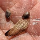 보배어린이공원 이미지