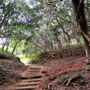 옥룡사지 이미지