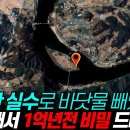 🙄경기도 시흥에 실수로 만든 방조제, 그 아래서 1억년전 비밀 쏟아졌다 이미지
