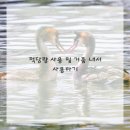 샴푸미용실 이미지