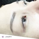 컬러리아 이미지