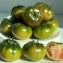 농업회사법인 주식회사 팜스 이미지