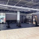 피트인365 이미지