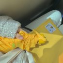 니트 수업 듣는 의류송이의 비오는 날 일상 ( 뜨개질은 아니지만 수편기로 평편, 슬립편 변화조직 니팅...