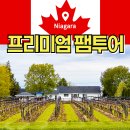 (주)푸른에너지산업 | 나이아가라 프리미엄 팸투어 후기 와이너리편