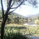 수연목장 이미지