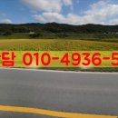 남이천 주유소 이미지