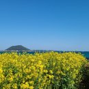 성산봄