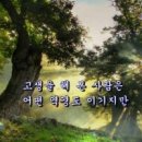 마라공식 이미지