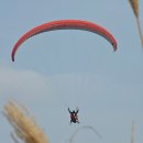 고개너머 | 유명산 배너미고개 등산 코스는 양평가볼만한곳으로 억새 명소에요