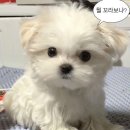 자유 - 남구 남중로74번길 18 | 자유