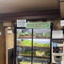 연희동 오랜 쌈밥 맛집 녹원쌈밥 연희점 내돈내산 후기