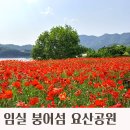 전북 임실 여행지 붕어섬 요산공원 꽃양귀비