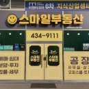 라성공인중개사사무소 이미지