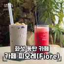 힐링 | 화성 동탄 식물원 카페 피오레(Fiore), 내돈내산 힐링 후기