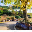 용이새마을경로당 | 충남 보령시 청라면 /은행마을 둘레길/신경섭 가옥