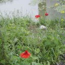 서부체육관 이미지