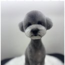 뽀그리독 이미지