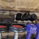 피디컬짐 이미지