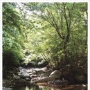 베스트캠핑장 이미지