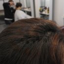 시영드라이 이미지