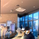 해운대로 570번길 | 부산 해운대 오션뷰 라운지바 🍷 빌리브패러그라프 피크라운지 피크포차 내돈내산 솔직후기