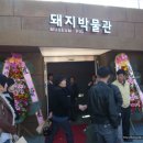 한국양돈산업(주) Daum카페