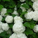 까페오월 이미지