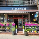 요선동카페 이미지