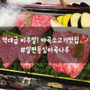 마곡 룸식당 추천! 구워주는 마곡 소고기 맛집 일편등심 원그로브 맛집 후기