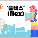 플렉스(FLEX) 이미지