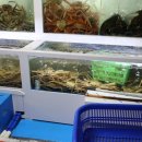 팔딱팔딱횟집 이미지