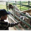 영채농장 이미지