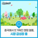 아이메이그룹 | 중국에서 뜨거워진 캠핑 열풍, 시장 급성장 중