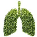 나도 정리전문가, 정리의 마법 이미지