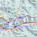 산수유피는마을 이미지