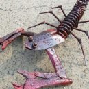 말테우리 고택펜션 이미지