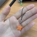 서울새롬학교 | 부디:12월 일기🎄